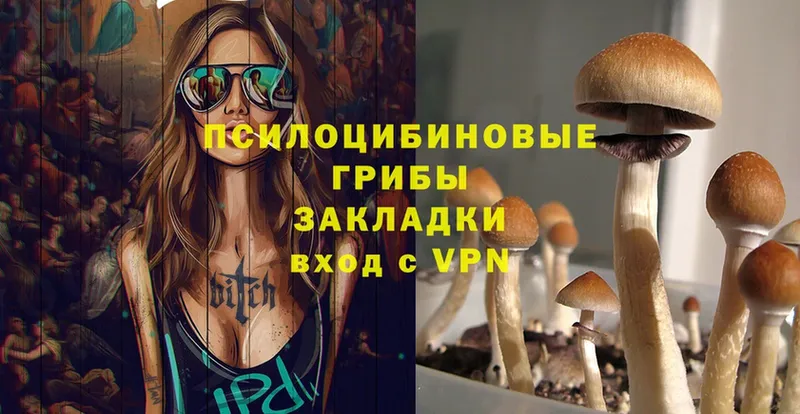 где можно купить   Бокситогорск  Псилоцибиновые грибы MAGIC MUSHROOMS 